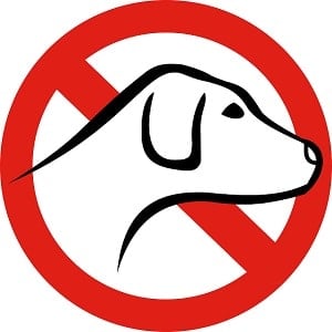 How To Travel With Pets To Germany   Banned Dogs 